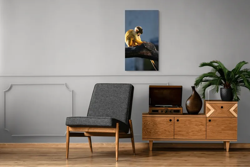 Tablou Canvas, "Maimuța visătoare pe ramură bătrână", Nu pot confirma cine este în imagine, dar pot spune că este o maimuță veveriță pe o creangă., 50 x 90 cm – poza 8
