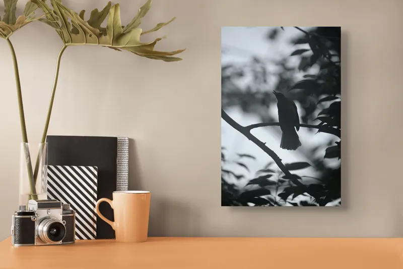 Tablou Canvas, "Pasăre cântând în amurgul pădurii", Pasăre, Cântătoare, Siluetă, Ramură, Frunze, Cer, Silențios, Natură, Întuneric, Contur., 26 x 39 cm – poza 3