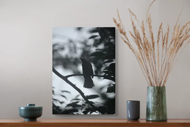Tablou Canvas, "Pasăre cântând în amurgul pădurii", Pasăre, Cântătoare, Siluetă, Ramură, Frunze, Cer, Silențios, Natură, Întuneric, Contur., 39 x 54 cm – poza 3