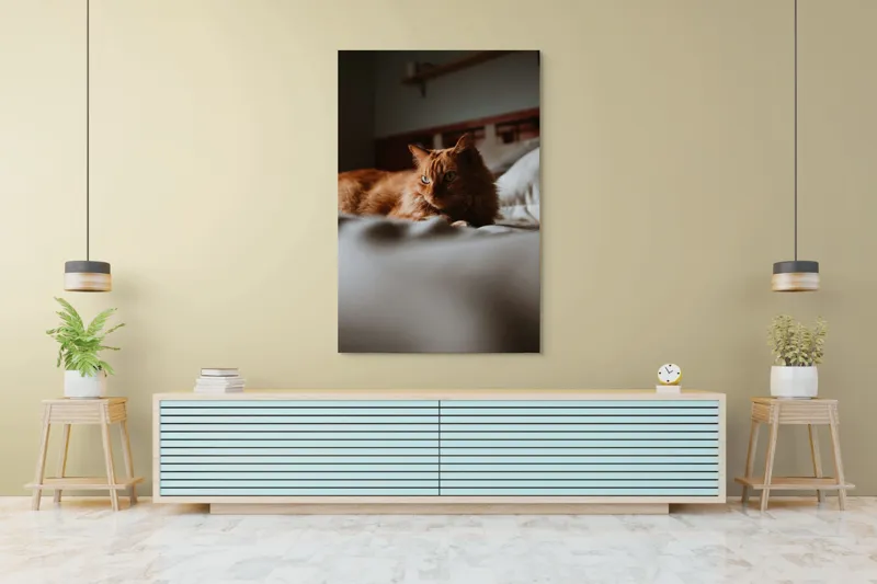 Tablou Canvas, "Pisică roșcată odihnindu-se pe pat", Pisică, Portocalie, Privire, Blană, Pat, Relaxare, Lumină, Calm, Textură, Ambient., 100 x 150 cm – poza 4