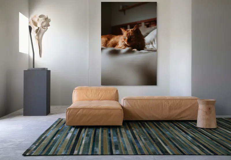 Tablou Canvas, "Pisică roșcată odihnindu-se pe pat", Pisică, Portocalie, Privire, Blană, Pat, Relaxare, Lumină, Calm, Textură, Ambient., 100 x 150 cm – poza 7