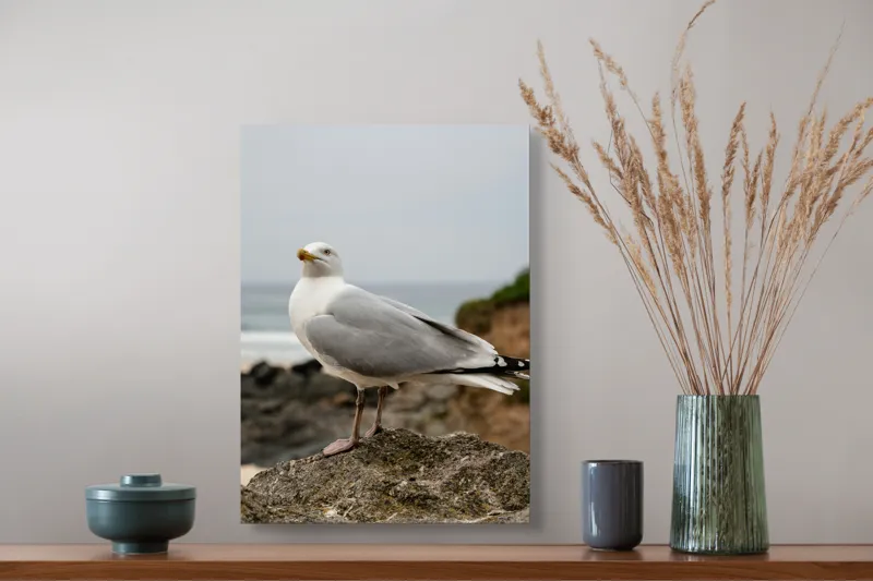 Tablou Canvas, "Pescărușul de pe stâncă privind marea", Pescăruș, Stâncă, Ocean, Cer, Natură, Aripi, Penaj, Calm, Peisaj, Liniște, 39 x 54 cm – poza 3