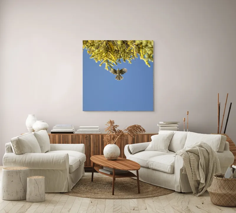 Tablou Canvas, "Zborul liber printre ramuri verzi", Pasăre, Zburând, Cer, Ramuri, Verde, Albastru, Aripi, Lumină, Natură, Libertate, 100 x 100 cm – poza 3