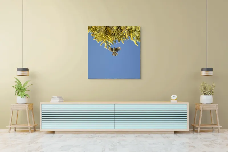 Tablou Canvas, "Zborul liber printre ramuri verzi", Pasăre, Zburând, Cer, Ramuri, Verde, Albastru, Aripi, Lumină, Natură, Libertate, 100 x 100 cm – poza 5