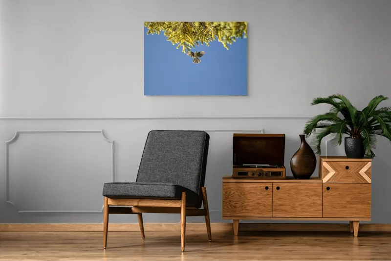 Tablou Canvas, "Zborul liber printre ramuri verzi", Pasăre, Zburând, Cer, Ramuri, Verde, Albastru, Aripi, Lumină, Natură, Libertate, 100 x 70 cm – poza 8
