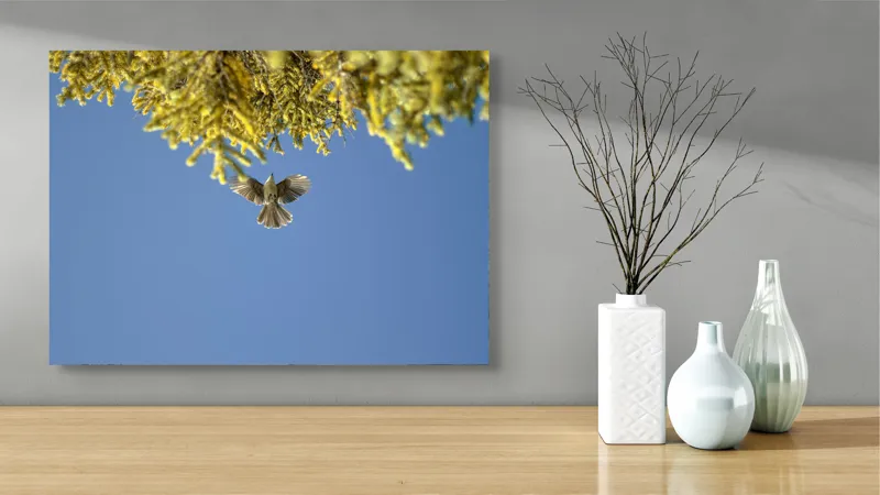 Tablou Canvas, "Zborul liber printre ramuri verzi", Pasăre, Zburând, Cer, Ramuri, Verde, Albastru, Aripi, Lumină, Natură, Libertate, 70 x 50 cm – poza 3