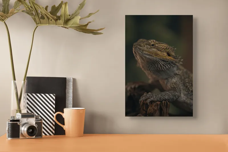 Tablou Canvas, "Reptila contemplând lumina dimineții", Solzi, Gri, Textură, Reptilă, Privește, Detalii, Natural, Verde, Ramură, Bruniu, 26 x 39 cm – poza 3