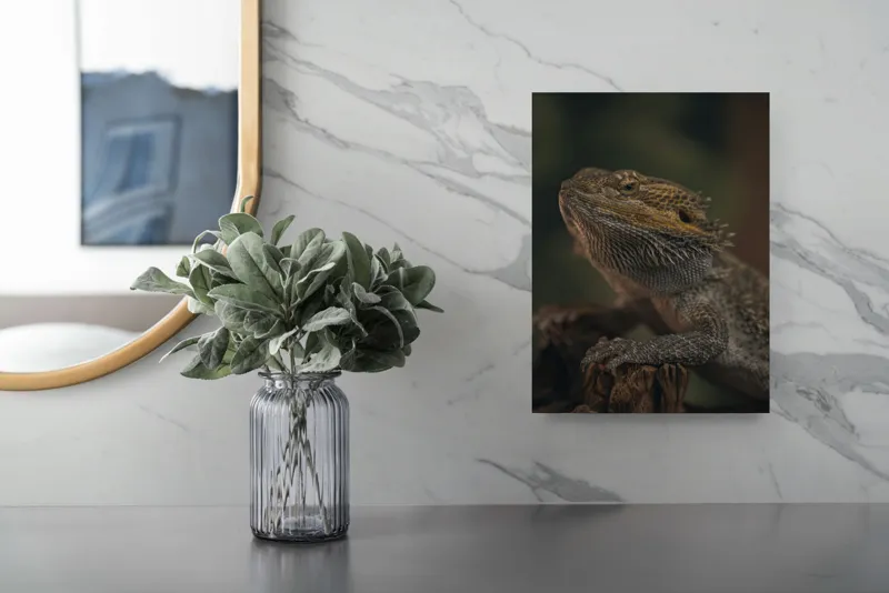 Tablou Canvas, "Reptila contemplând lumina dimineții", Solzi, Gri, Textură, Reptilă, Privește, Detalii, Natural, Verde, Ramură, Bruniu, 26 x 39 cm – poza 4