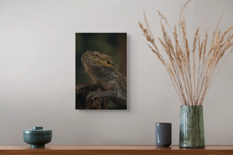 Tablou Canvas, "Reptila contemplând lumina dimineții", Solzi, Gri, Textură, Reptilă, Privește, Detalii, Natural, Verde, Ramură, Bruniu, 26 x 39 cm – poza 5