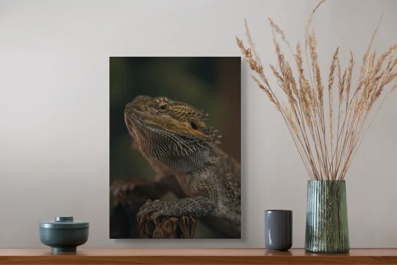 Tablou Canvas, "Reptila contemplând lumina dimineții", Solzi, Gri, Textură, Reptilă, Privește, Detalii, Natural, Verde, Ramură, Bruniu, 39 x 54 cm – poza 3