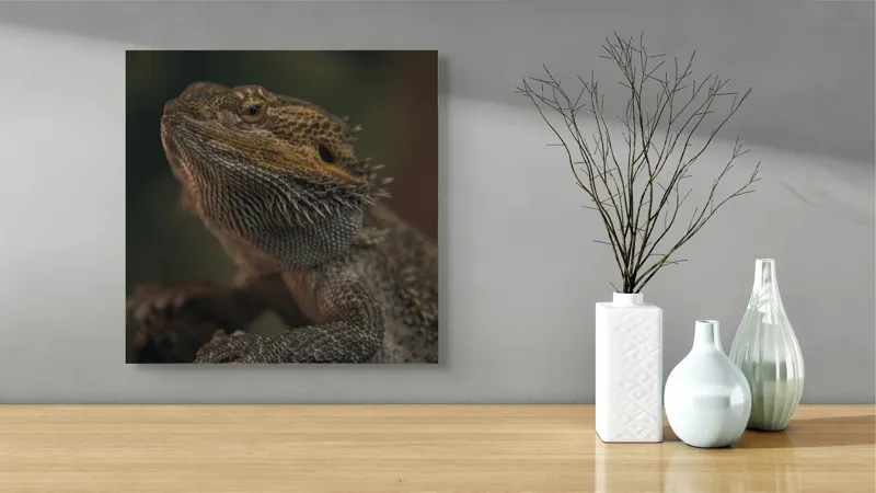 Tablou Canvas, "Reptila contemplând lumina dimineții", Solzi, Gri, Textură, Reptilă, Privește, Detalii, Natural, Verde, Ramură, Bruniu, 50 x 50 cm – poza 3