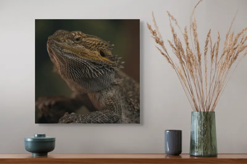 Tablou Canvas, "Reptila contemplând lumina dimineții", Solzi, Gri, Textură, Reptilă, Privește, Detalii, Natural, Verde, Ramură, Bruniu, 50 x 50 cm – poza 4