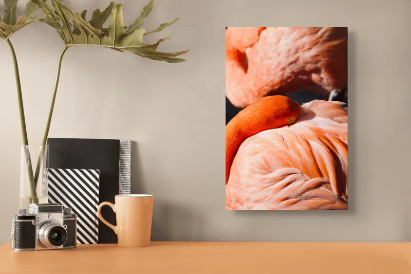 Tablou Canvas, "Grația odihnitoare a flamingo-ului roz", Flamingo, Pene, Portocaliu, Grație, Odihnă, Textură, Strălucire, Delicatețe, 26 x 39 cm – poza 3