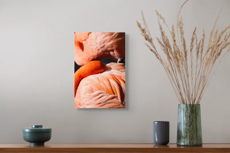 Tablou Canvas, "Grația odihnitoare a flamingo-ului roz", Flamingo, Pene, Portocaliu, Grație, Odihnă, Textură, Strălucire, Delicatețe, 26 x 39 cm – poza 5