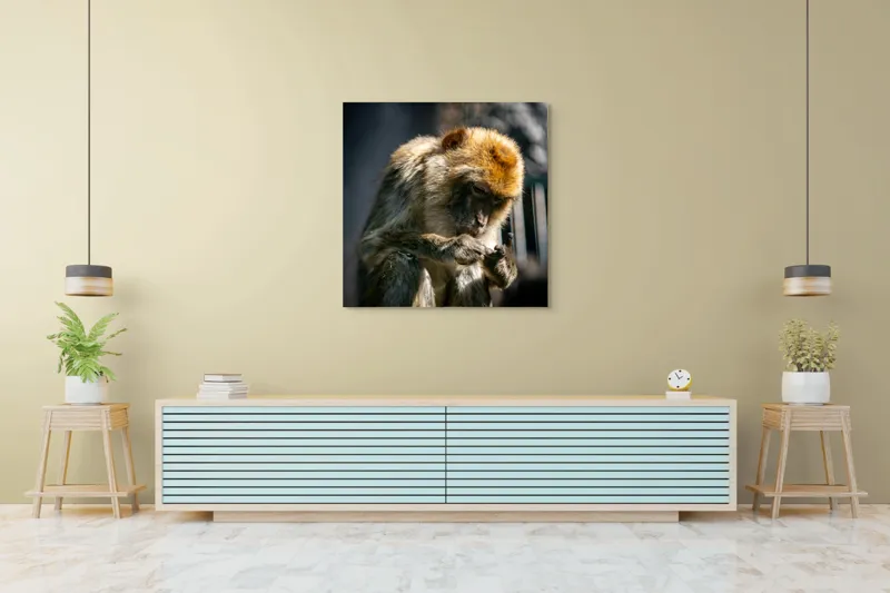 Tablou Canvas, "Maimuță contemplând liniștea în natură", 100 x 100 cm – poza 5