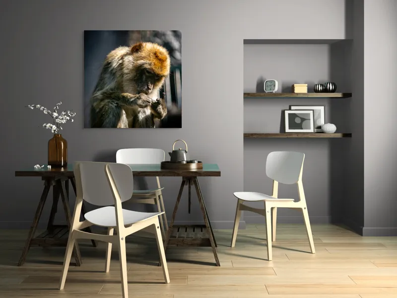 Tablou Canvas, "Maimuță contemplând liniștea în natură", 100 x 100 cm – poza 6