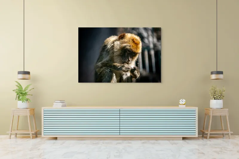 Tablou Canvas, "Maimuță contemplând liniștea în natură", 150 x 100 cm – poza 6