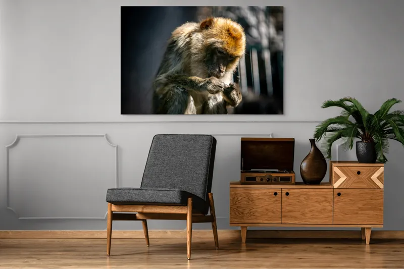 Tablou Canvas, "Maimuță contemplând liniștea în natură", 150 x 100 cm – poza 8
