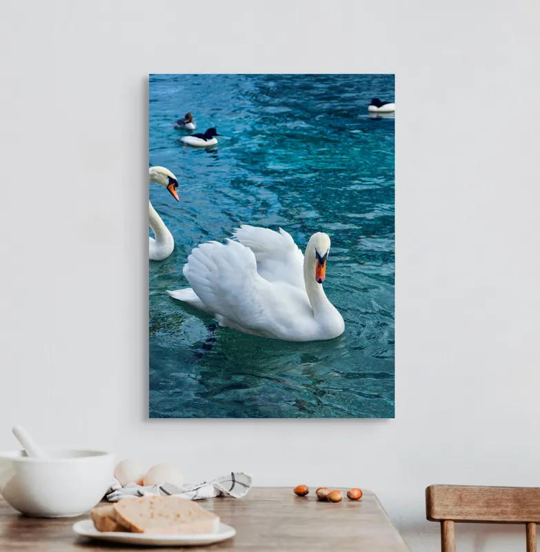 Tablou Canvas, "Grațioase lebede pe lac albastru", Grațioasă, Albă, Zburătoare, Liniștită, Senină, Vezel, Rece, Cristalină, Plutitoare, Majestuoasă, 50 x 70 cm – poza 3