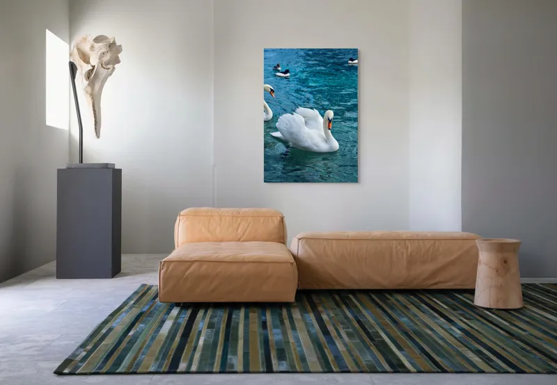 Tablou Canvas, "Grațioase lebede pe lac albastru", Grațioasă, Albă, Zburătoare, Liniștită, Senină, Vezel, Rece, Cristalină, Plutitoare, Majestuoasă, 70 x 100 cm – poza 7