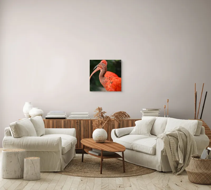 Tablou Canvas, "Păsări tropicale în penaj roșu aprins", Penaj, Roșcat, Frumos, Grațios, Elegant, Natural, Exotic, Vibrant, 50 x 50 cm – poza 7