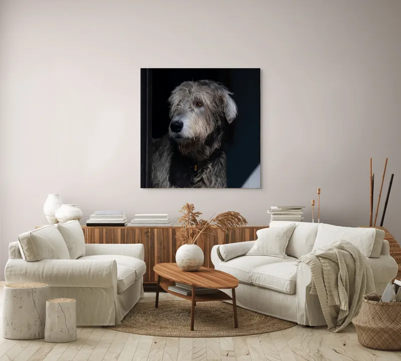 Tablou Canvas, "Privirea contemplativă a câinelui în umbră", 100 x 100 cm – poza 3