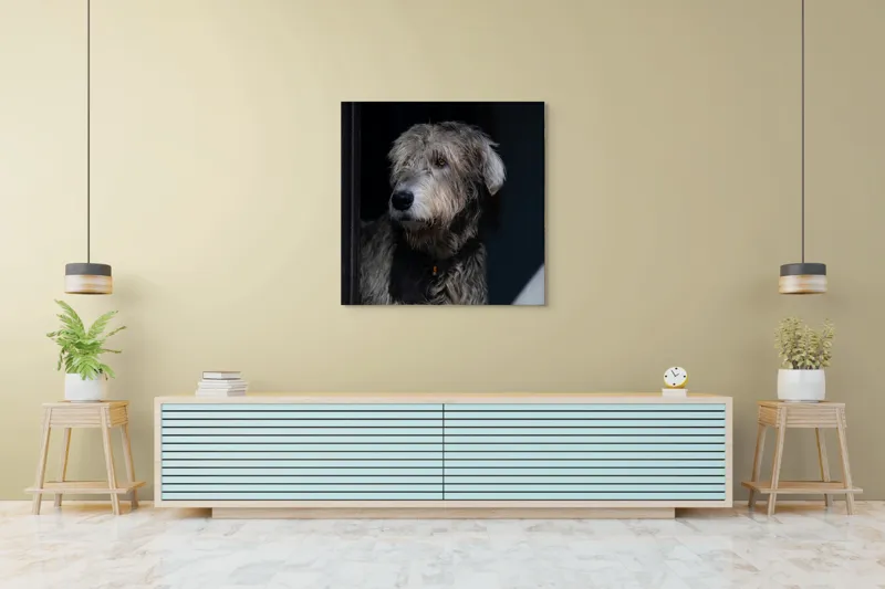 Tablou Canvas, "Privirea contemplativă a câinelui în umbră", 100 x 100 cm – poza 5