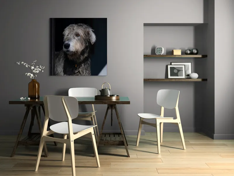 Tablou Canvas, "Privirea contemplativă a câinelui în umbră", 100 x 100 cm – poza 6