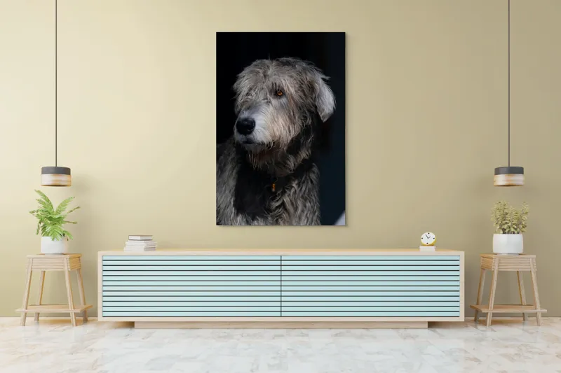 Tablou Canvas, "Privirea contemplativă a câinelui în umbră", 100 x 150 cm – poza 4