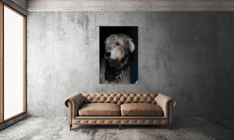 Tablou Canvas, "Privirea contemplativă a câinelui în umbră", 100 x 150 cm – poza 6