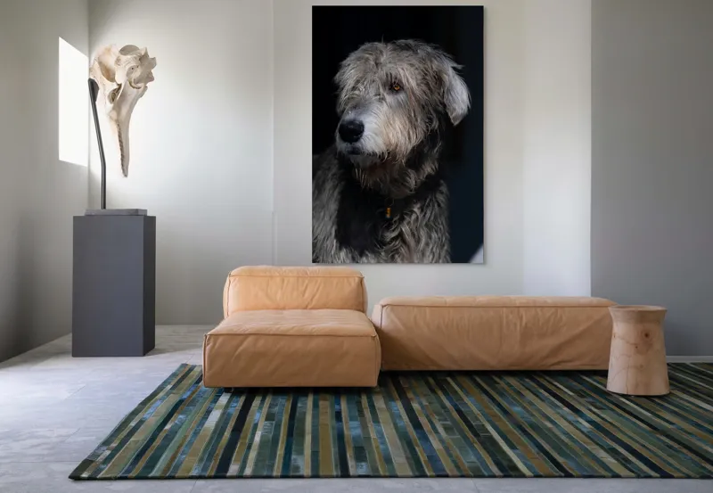 Tablou Canvas, "Privirea contemplativă a câinelui în umbră", 100 x 150 cm – poza 7