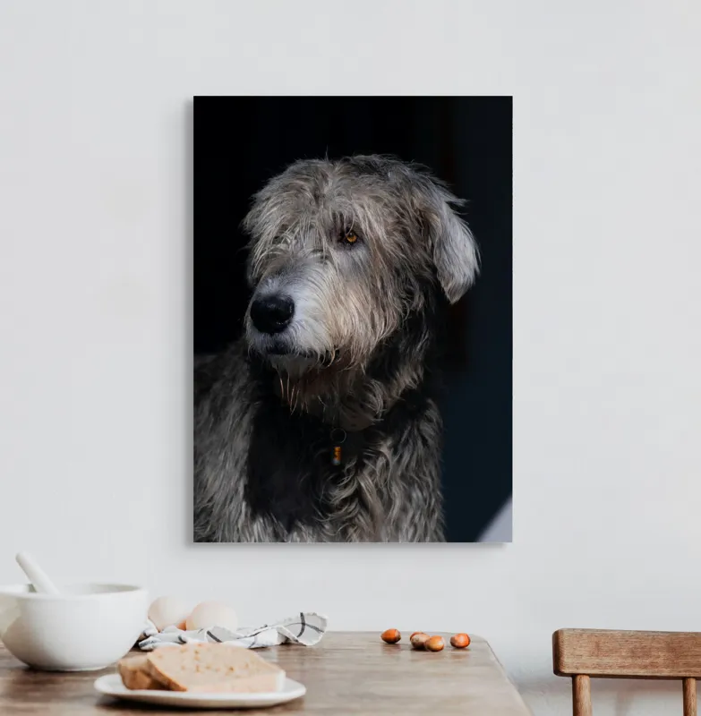 Tablou Canvas, "Privirea contemplativă a câinelui în umbră", 50 x 70 cm – poza 3