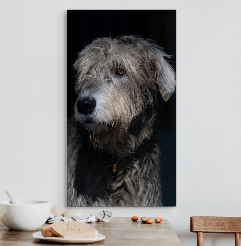 Tablou Canvas, "Privirea contemplativă a câinelui în umbră", 50 x 90 cm – poza 3