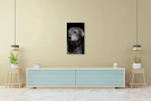 Tablou Canvas, "Privirea contemplativă a câinelui în umbră", 50 x 90 cm – poza 6
