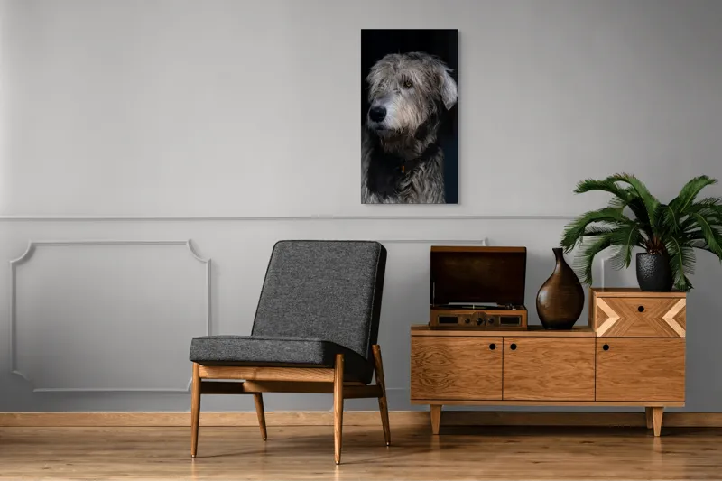 Tablou Canvas, "Privirea contemplativă a câinelui în umbră", 50 x 90 cm – poza 8