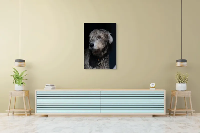 Tablou Canvas, "Privirea contemplativă a câinelui în umbră", 70 x 100 cm – poza 5