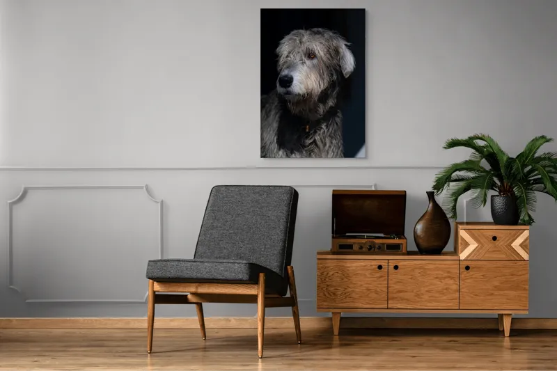 Tablou Canvas, "Privirea contemplativă a câinelui în umbră", 70 x 100 cm – poza 6