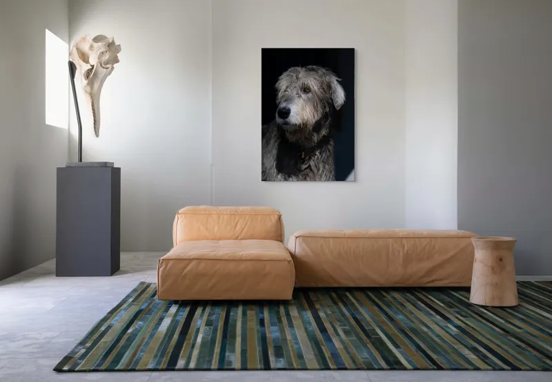 Tablou Canvas, "Privirea contemplativă a câinelui în umbră", 70 x 100 cm – poza 7