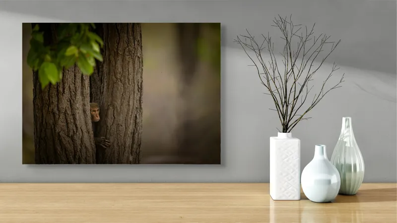 Tablou Canvas, "Maimuța ascunsă între copaci verzi", 70 x 50 cm – poza 3