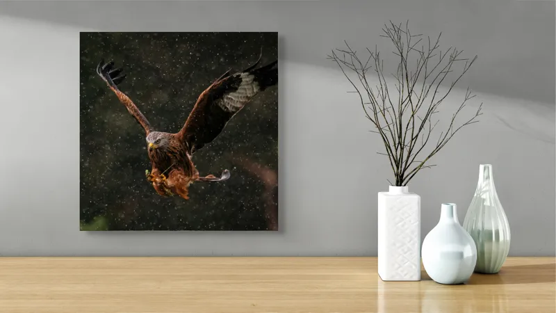 Tablou Canvas, "Vulturul în zbor prin ploaie", Zbor, Forță, Rezistență, Natură, Eleganță, Ploaie, Războinic, Libertate, Vultur., 50 x 50 cm – poza 3
