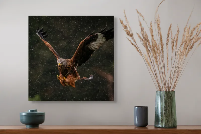 Tablou Canvas, "Vulturul în zbor prin ploaie", Zbor, Forță, Rezistență, Natură, Eleganță, Ploaie, Războinic, Libertate, Vultur., 50 x 50 cm – poza 4