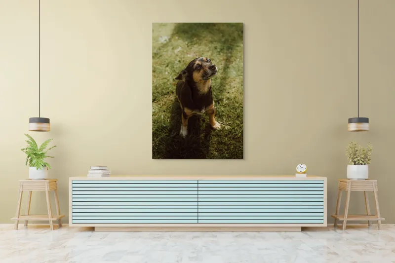 Tablou Canvas, "Cățel atent în lumina soarelui", 100 x 150 cm – poza 4