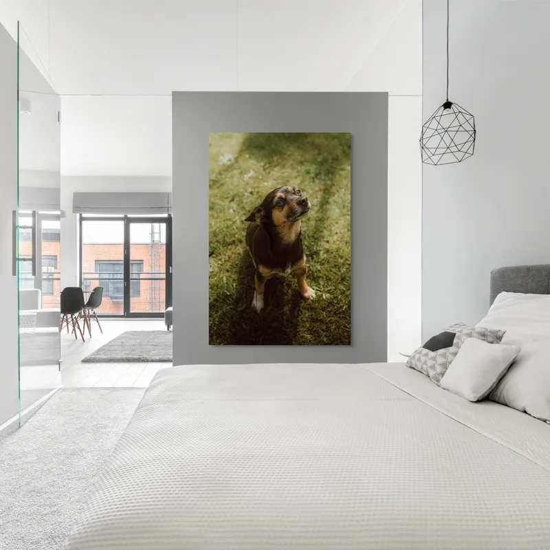 Tablou Canvas, "Cățel atent în lumina soarelui", 100 x 150 cm – poza 5