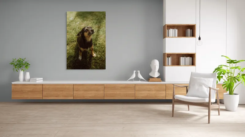 Tablou Canvas, "Cățel atent în lumina soarelui", 100 x 150 cm – poza 8