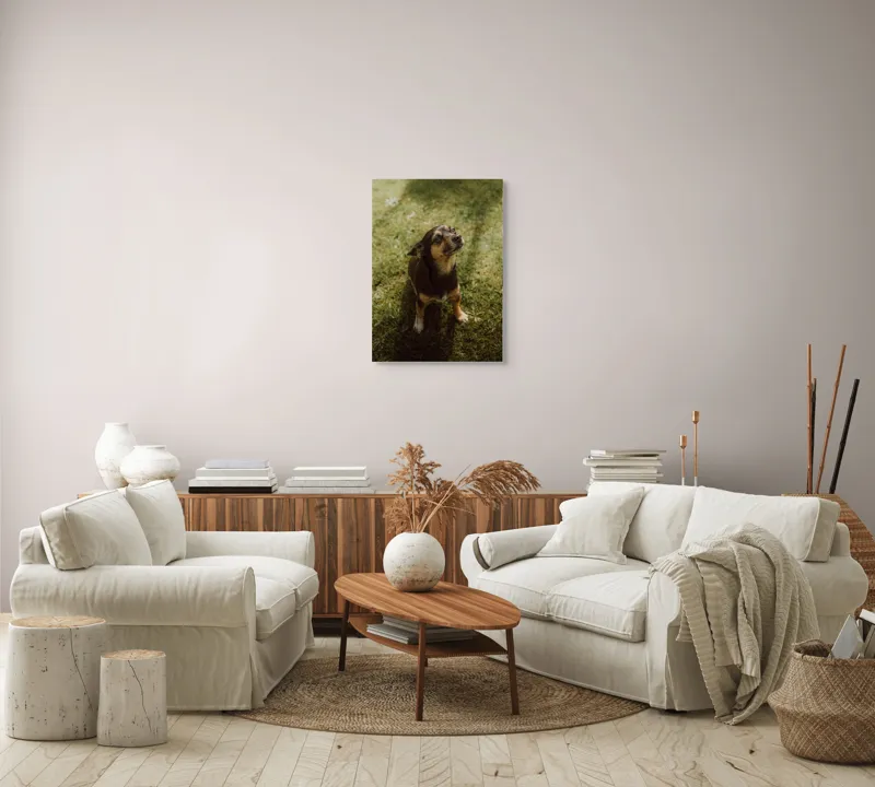 Tablou Canvas, "Cățel atent în lumina soarelui", 50 x 70 cm – poza 4