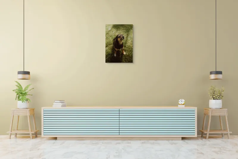 Tablou Canvas, "Cățel atent în lumina soarelui", 50 x 70 cm – poza 6