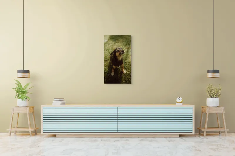 Tablou Canvas, "Cățel atent în lumina soarelui", 50 x 90 cm – poza 6
