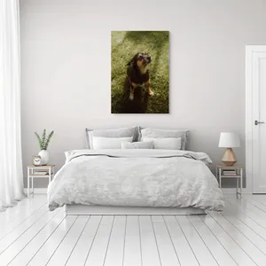 Tablou Canvas, "Cățel atent în lumina soarelui", 70 x 100 cm – poza 3