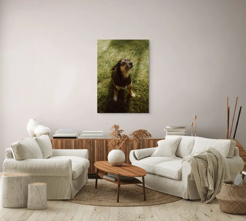Tablou Canvas, "Cățel atent în lumina soarelui", 70 x 100 cm – poza 4