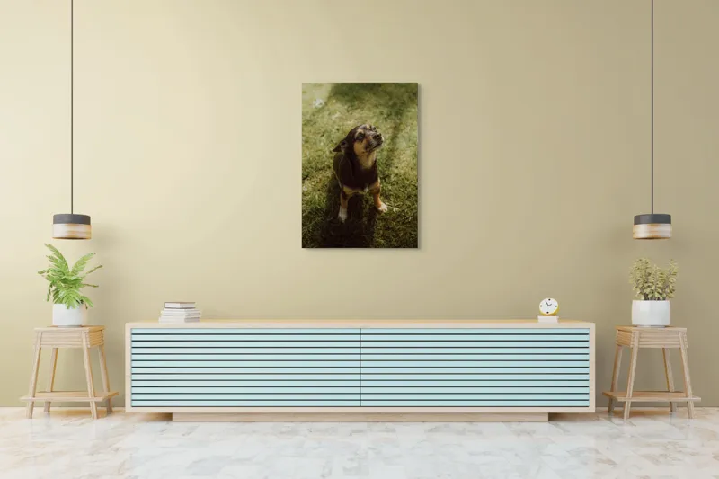 Tablou Canvas, "Cățel atent în lumina soarelui", 70 x 100 cm – poza 5